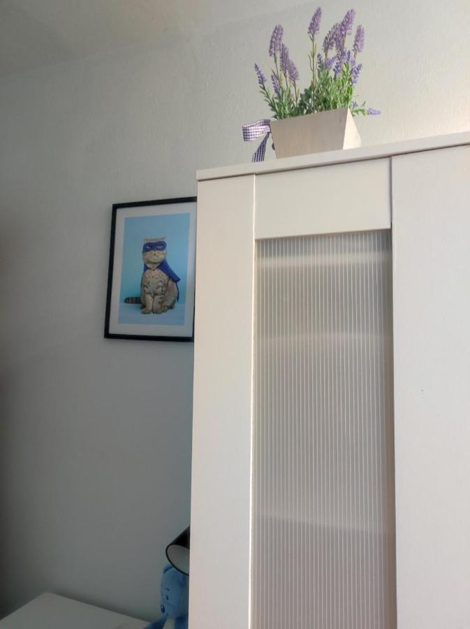 Single Room No.4 In The Very Center Of Varşovia Exterior foto